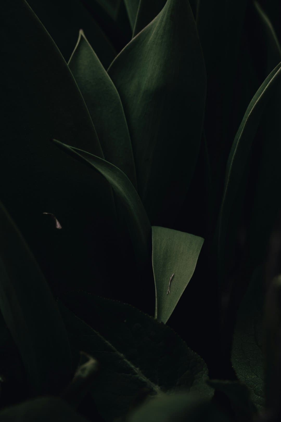 http://n.sinaimg.cn/news/transform/w600h400/20180315/v0sK-fyshstk6766615.jpg?zdy