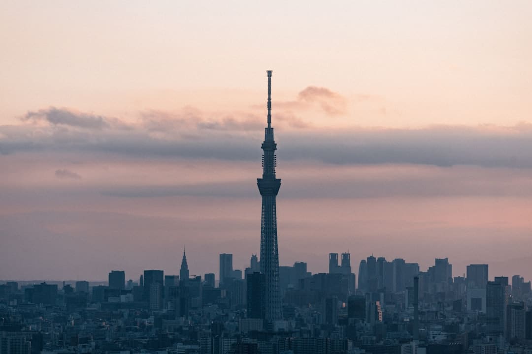 高分动画电影《蜗牛回忆录》成年人限制级治好神话